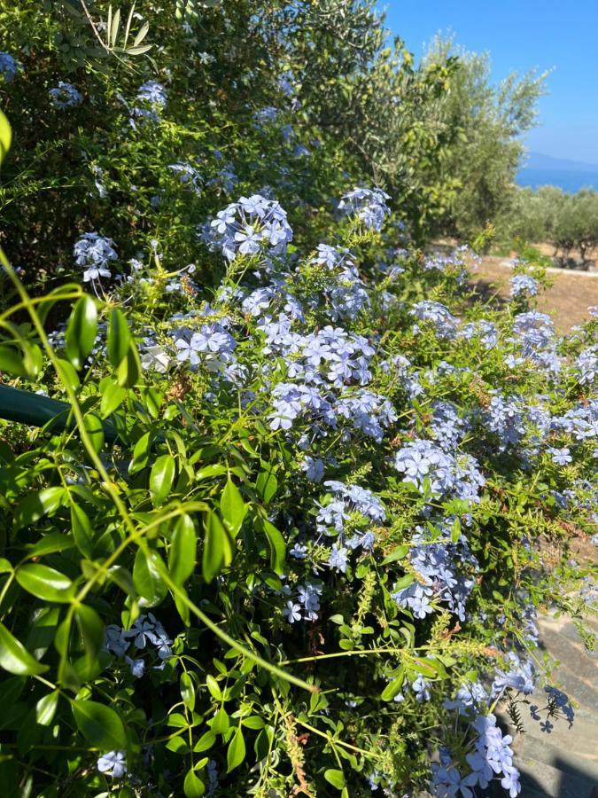 Villa Pefnos Ájosz Nikólaosz Kültér fotó